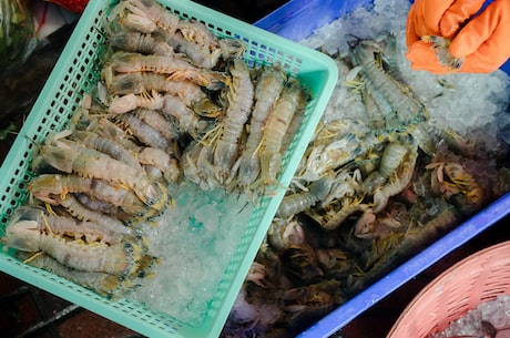 简单易行的十种基围虾做法，清爽美味又营养！