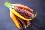 萝卜种子(从萝卜种子到菜市场：如何打造优质农产品)
