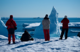 6张南极星令人窒息的图片