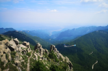 探访广西国有高峰林场：自然与人文的和谐共生